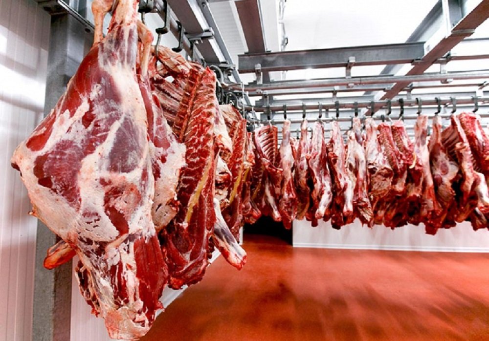 2020 оноос махны экспортыг зогсооно