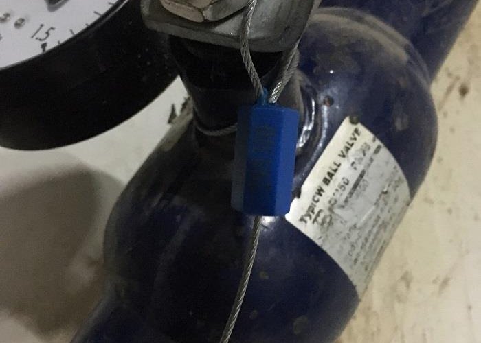  “Женерал таун” хотхоны ус нөөцлөх сангаас халуунд тэсвэртэй гэдэсний бүлгийн савханцар илэрчээ