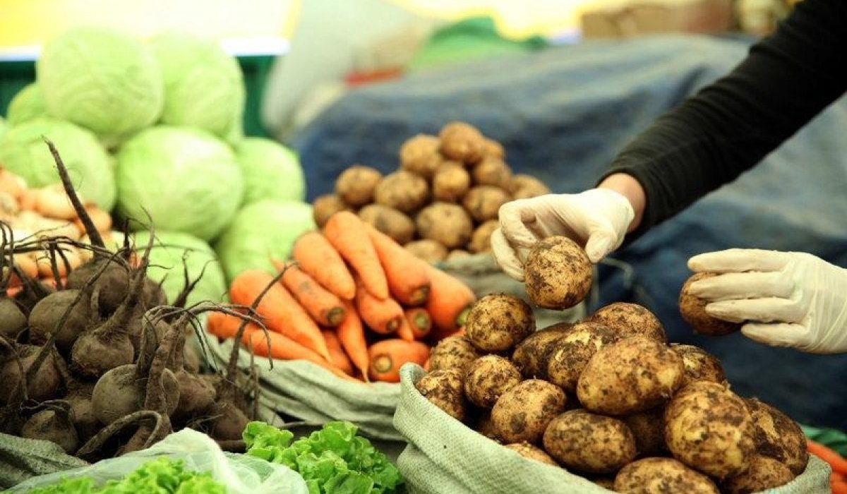 68,4 мянган тонн хүнсний ногоо хураажээ