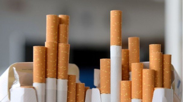 Их хэмжээний янжуур тамхи тээвэрлэж яваад баригджээ