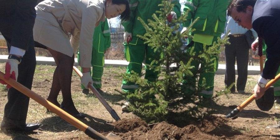 Бүх нийтээр мод тарих өдөр энэ амралтын өдрүүдэд болно