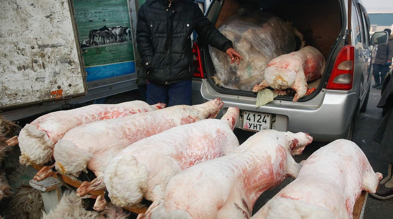 Зөвшөөрөлгүй газар ууц, өвчүү чанавал  орлогыг нь хураана