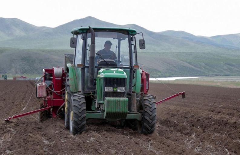 Улсын хэмжээнд 11.6 мянган га-д төмс тариад байна