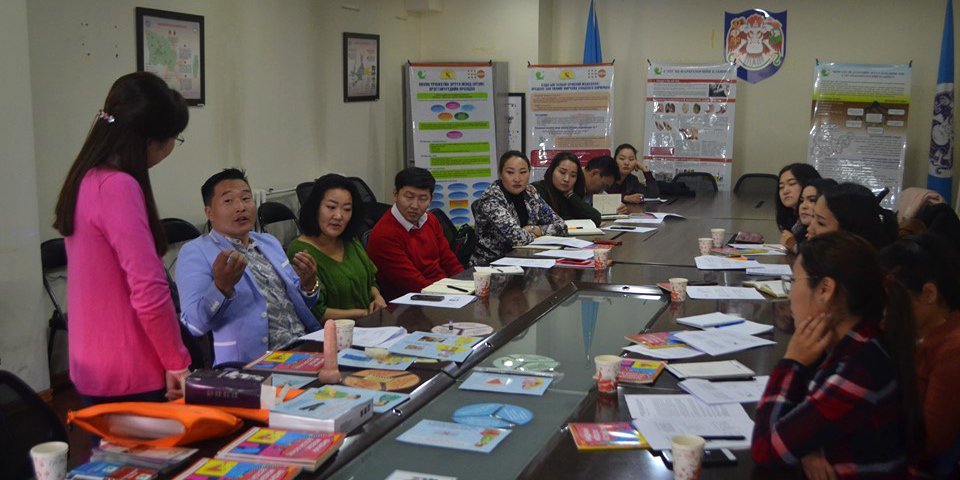 Өсвөр үеийн залуучуудад эрүүл мэндийн боловсрол олгох сургагч багшийг бэлдэж байна