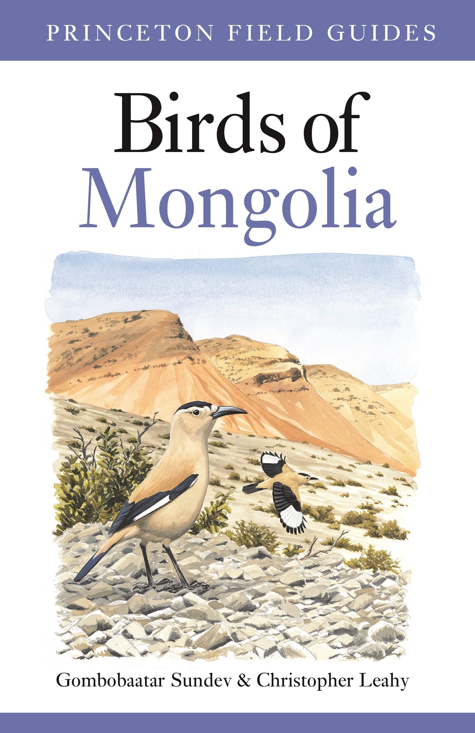 Birds of Mongolia is an indispensable guide for birders and travellers