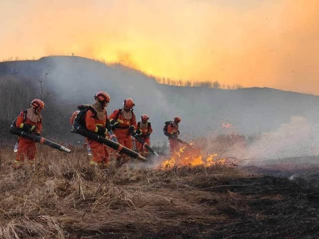 Өнөөдрийн байдлаар Нөмрөгийн дархан цаазат газрын нийт шатсан талбайн 30 орчим хувьд нь байгаль орчны хохирол тогтоох үнэлгээ хийгээд байна