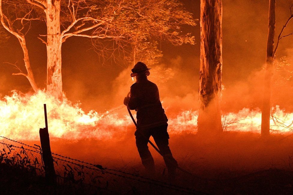 Австрали улсад Ой хээрийн түймрийн цар хүрээ улам тэлсээр байна