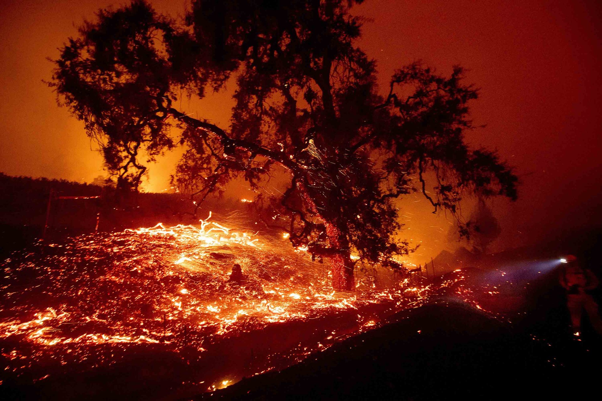 АНУ-ын Калифорни мужид гарсан ой хээрийн түймэр гамшгийн хэмжээнд хүрчээ