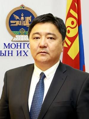 УИХ-ын гишүүн Г.Ганболдыг Сонгогчийн нэрсийн жагсаалт, бүртгэлийн хяналтын дэд хорооны даргаар сонголоо