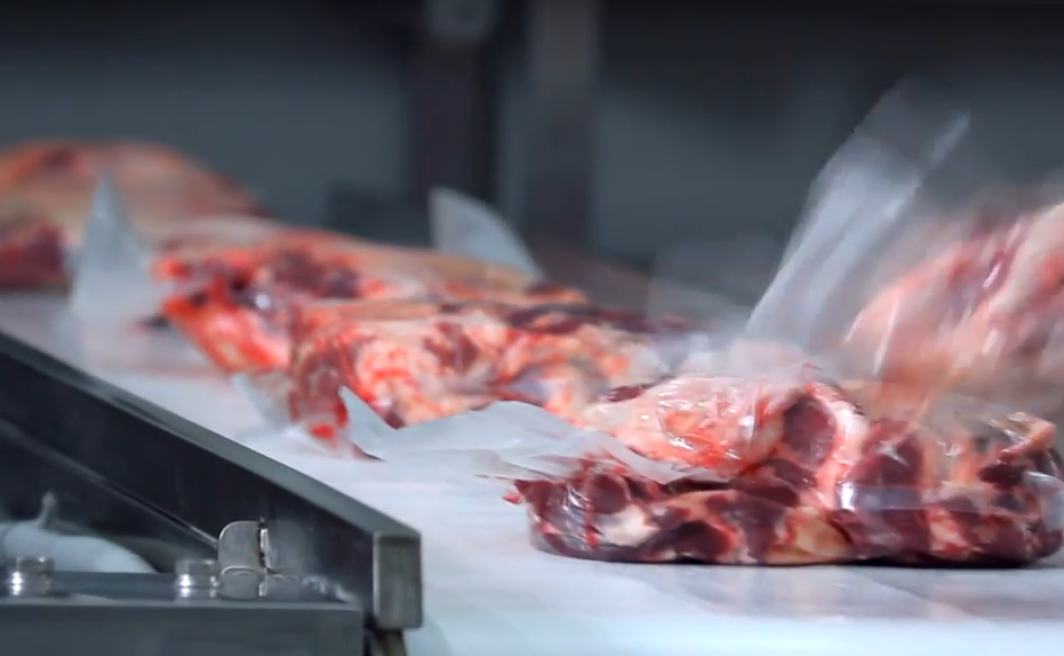 Малын мах, дайвар бүтээгдэхүүний экспорт өнгөрсөн оны мөн үеэс 90 хувиар буурчээ