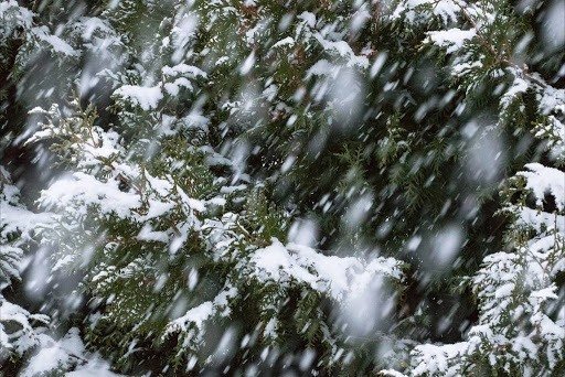 Булган, Сэлэнгийн нутгаар нойтон цас орж, цасан шуурга шуурч, говь, тал, хээрийн нутгаар салхи ширүүсэн шороон шуургатай байхыг анхааруулж байна