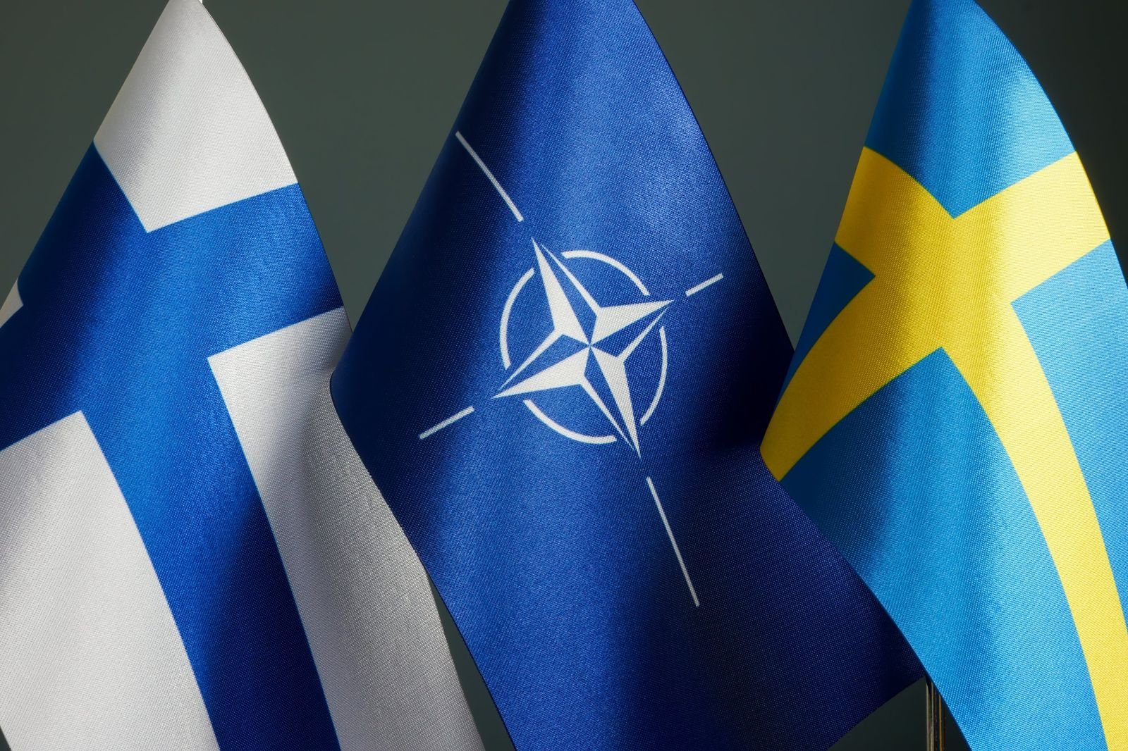 Финландын эрх баригчид НАТО-д гишүүнээр элсэх шийдвэрээ албан ёсоор зарлажээ