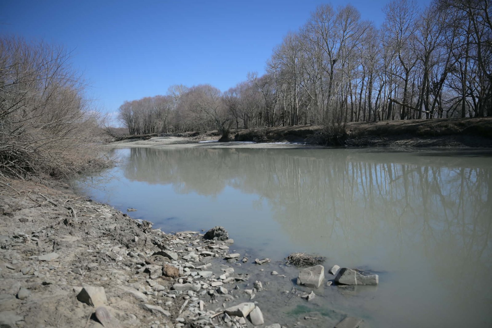 Төв аймгийн Лүн сум хүртэл туул голд 20–40 см зузаан лаг хуримтлагдсан тул байгалийн жамаар цэвэршиж чадахгүй, хүн мал ч ундаалах боломжгүй болжээ