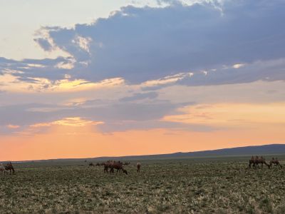 Hiking up to the tallest dune - The Duut mankhan - The singing dune