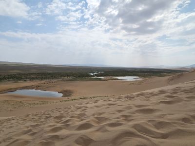 Khongor sand dunes