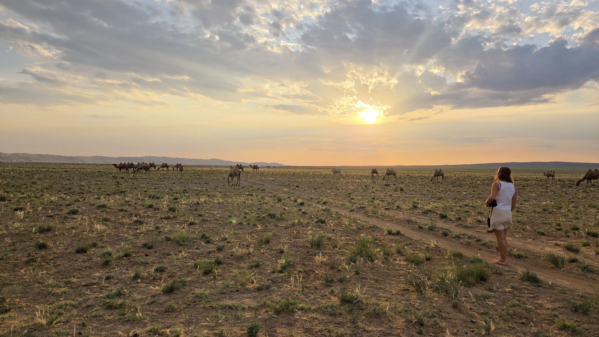 Stories from the Steppe: A Silver Anniversary on the Frontier