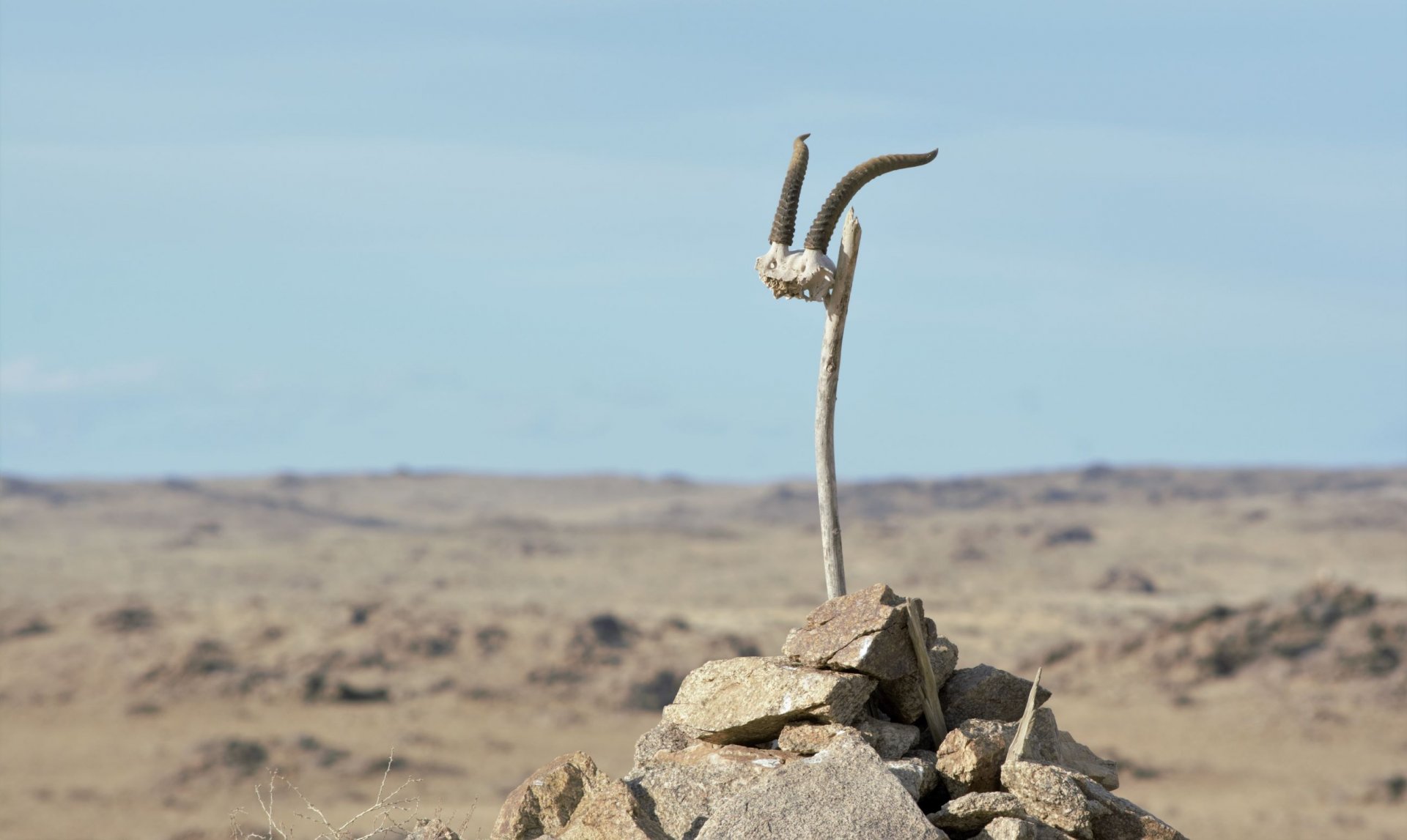 Trekking in western Mongolia