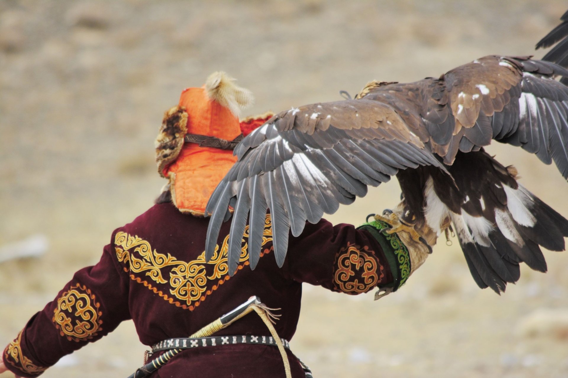 Cultural Journeys