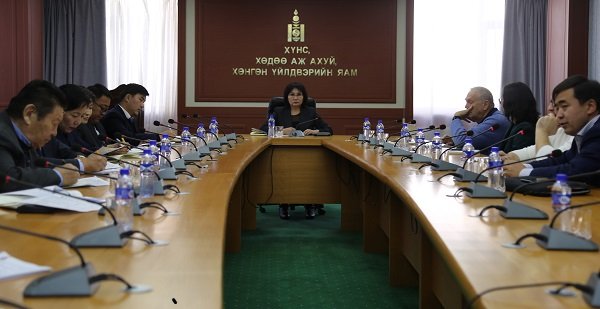 Монгол Улсад Хөдөлмөр эрхлэлтийг дэмжих төслийн мэдээлэл солилцох уулзалт боллоо