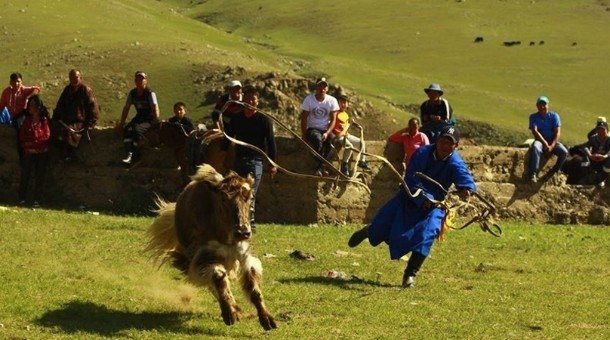 “Монгол сарлаг” фестиваль болно