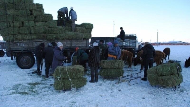 Өвөлжилтийн бэлтгэл ажил 96.4 хувьтай байна