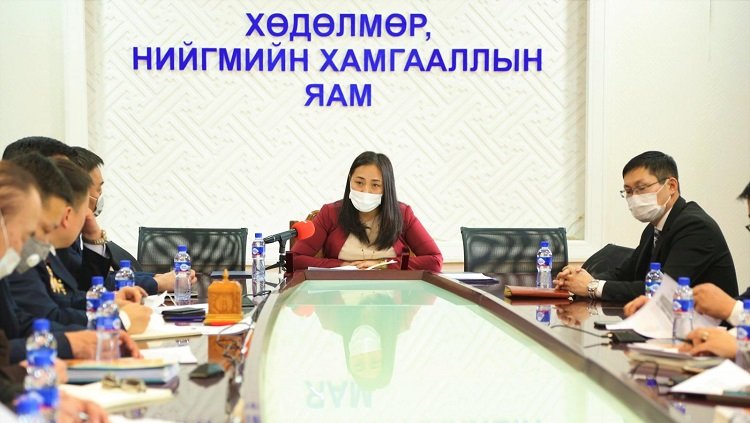 “ХҮҮХЭД ХАМГААЛАГЧ” ТӨСӨЛ 2020 ОНД ХЭРЭГЖИНЭ
