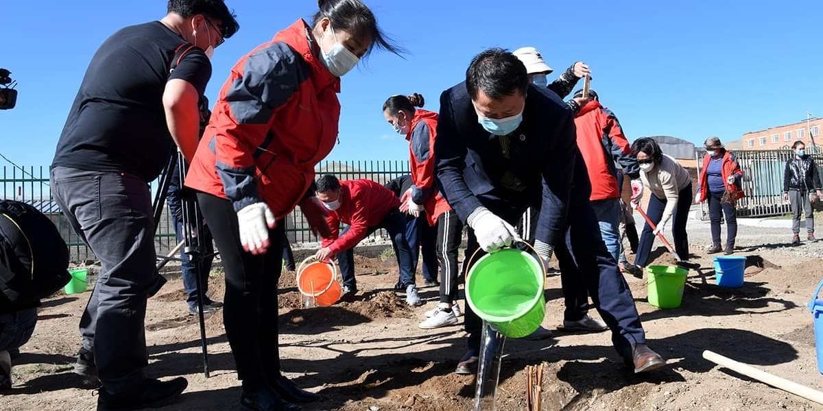 Нийслэлийн 5000 өрхийн хашаанд мод тарина