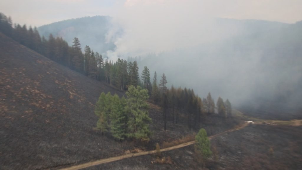 Он гарсаар 62 удаагийн ой, хээрийн түймэр гараад байна