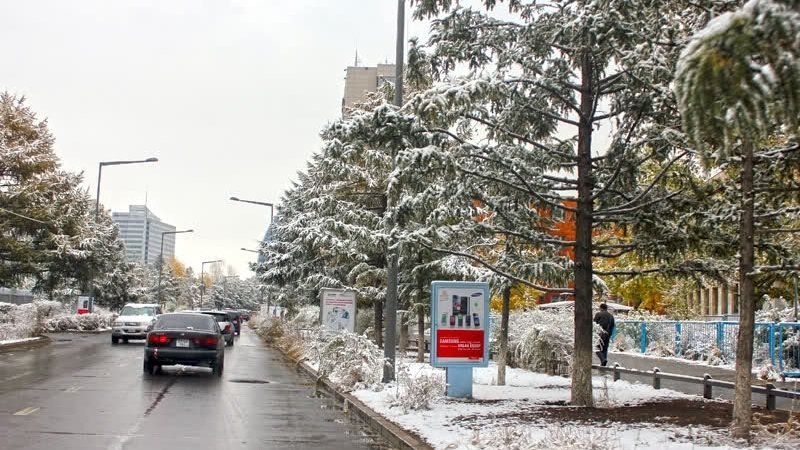 Цас орж, ихэнх нутгаар хүйтэн байна