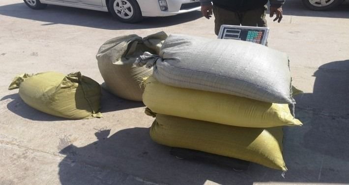 Ачааны машиндаа 110 кг дэрвэгэр жиргэрүү нууж хил нэвтрүүлэхийг завджээ