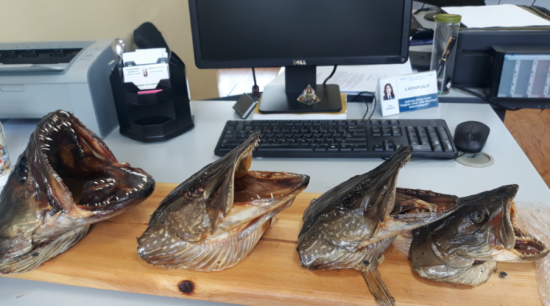 ХОВОР АМЬТНЫ ЖАГСААЛТАД ОРСОН ТУЛ ЗАГАСНЫ ТОЛГОЙ БҮХИЙ ЭД ЗҮЙЛИЙГ ИЛРҮҮЛЖ, ЦАГДААГИЙН БАЙГУУЛЛАГАД ШИЛЖҮҮЛЛЭЭ