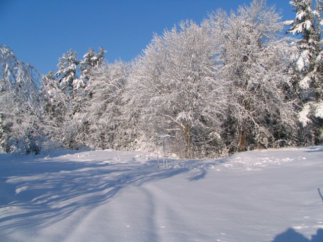 Уулархаг нутгаар нойтон цас орно