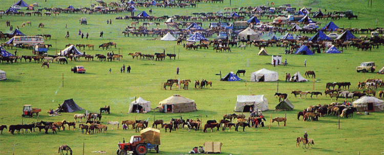 Аймгуудын баяр наадам энэ долоо хоногт эхэлнэ