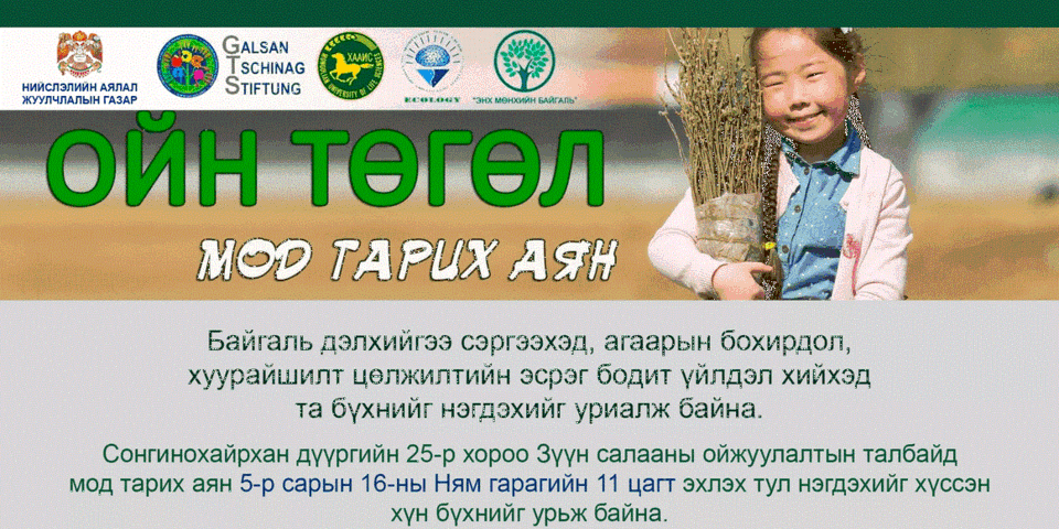 Сонгинохайрхан дүүрэгт 3000 гаруй мод тарина