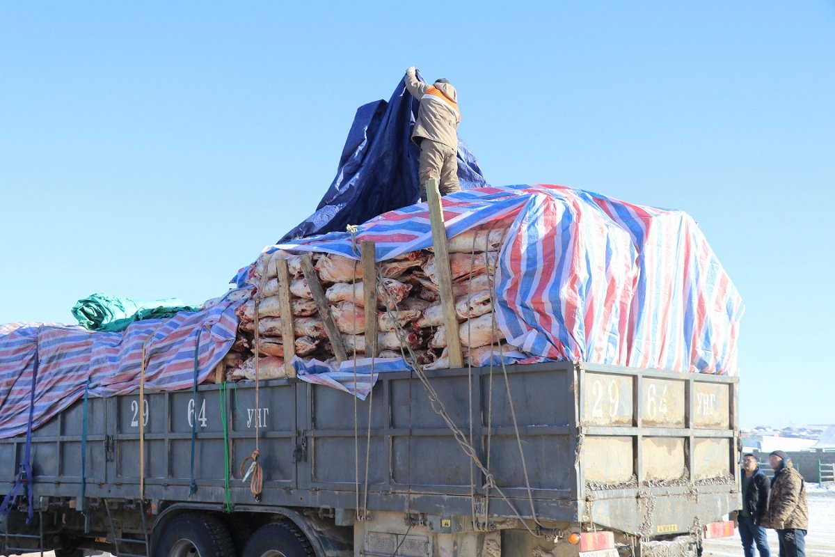 ШӨХТГ-аас МАХНЫ ҮНЭ ӨССӨН шалтгааныг нэрлэлээ