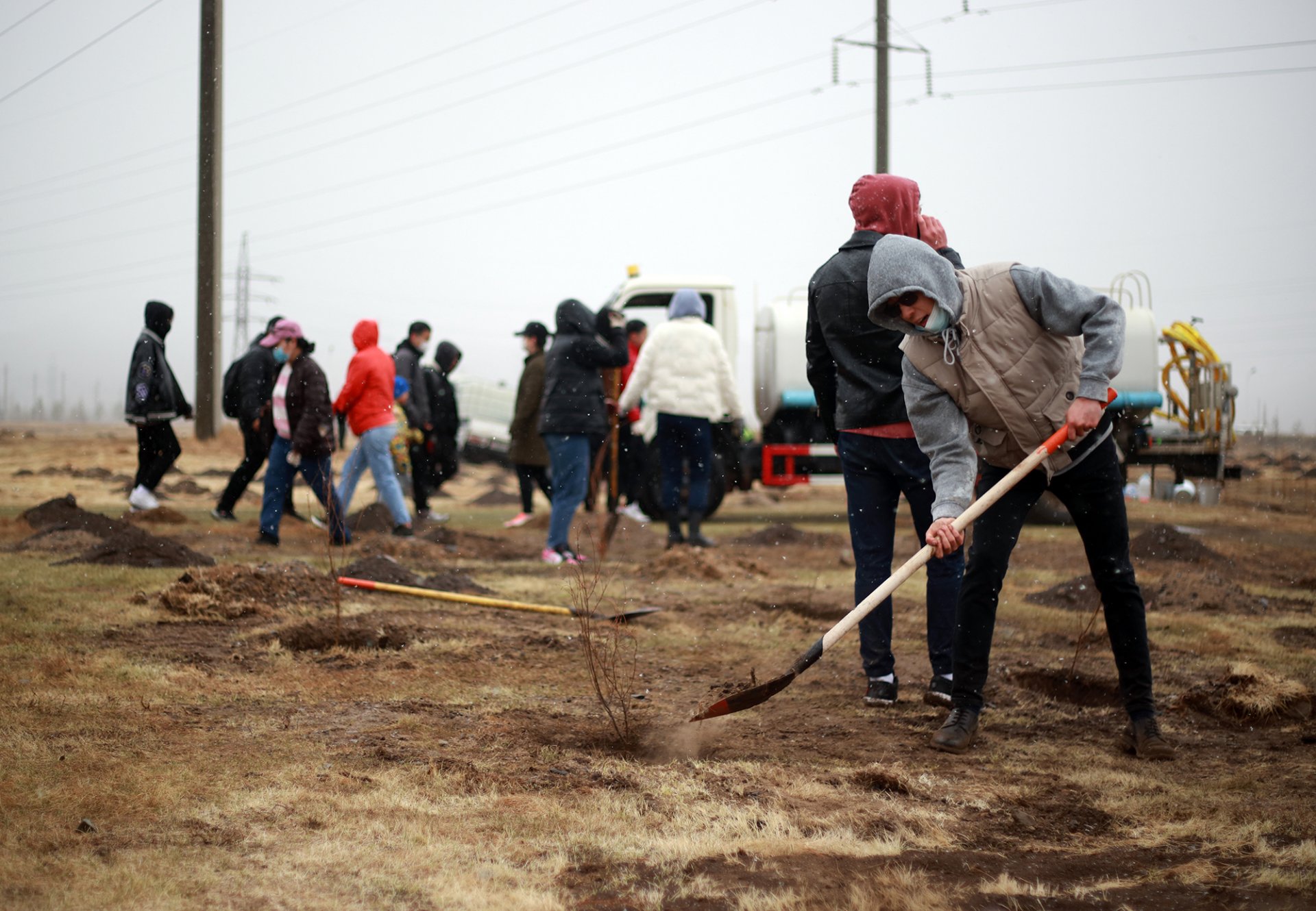 Бүх нийтийн мод тарих өдөрлөгөөр 2000 мод тарилаа