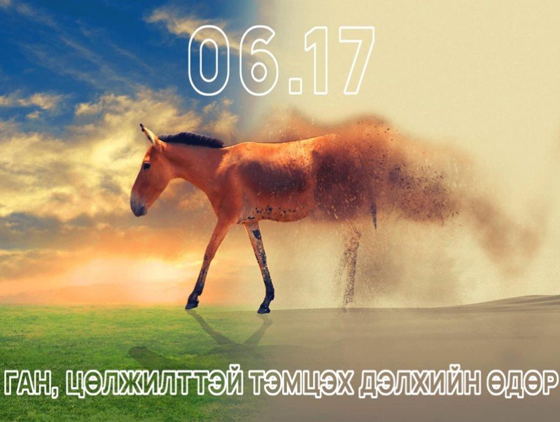 “Цөлжилттэй тэмцэх дэлхийн өдөр“ тохиож байна