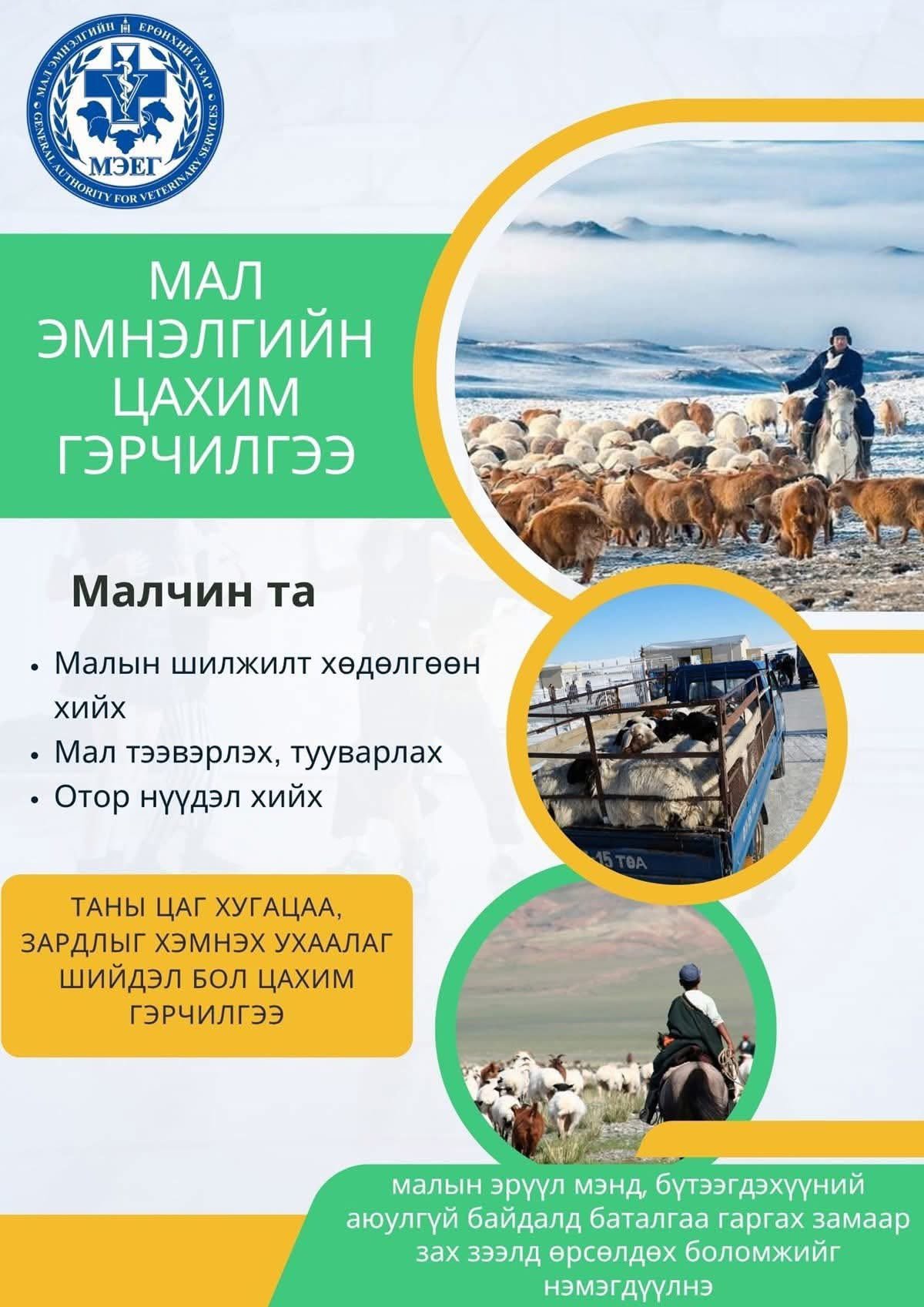 Малчин таны үүрэг