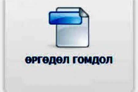 ИРГЭДЭЭС ТӨРИЙН ЗАХИРГААНЫ ТӨВ БАЙГУУЛЛАГА, АЛБАН ТУШААЛТАНД ХАНДАЖ  ИРҮҮЛСЭН ӨРГӨДӨЛ, ГОМДОЛ