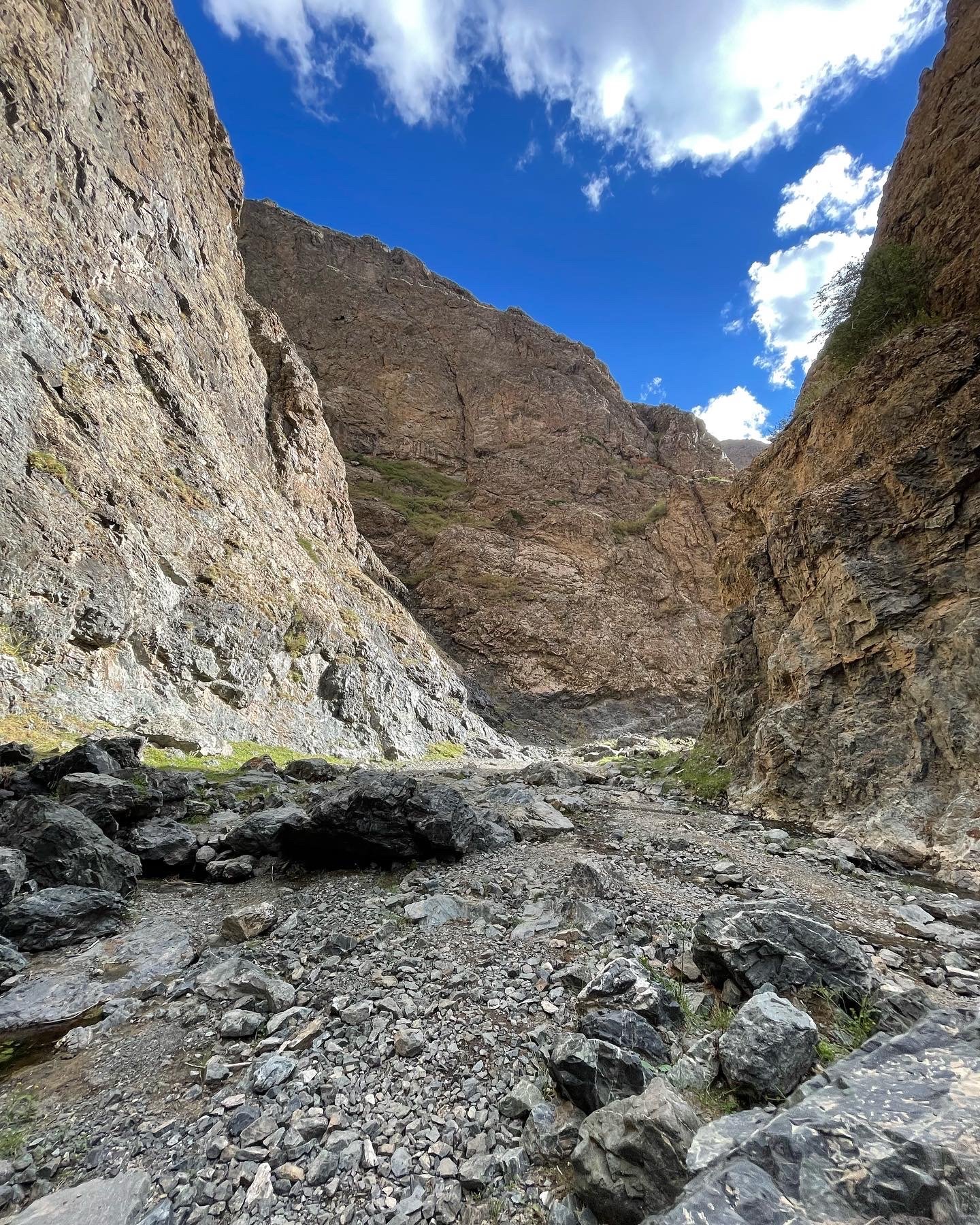 YOLYN AM CANYON