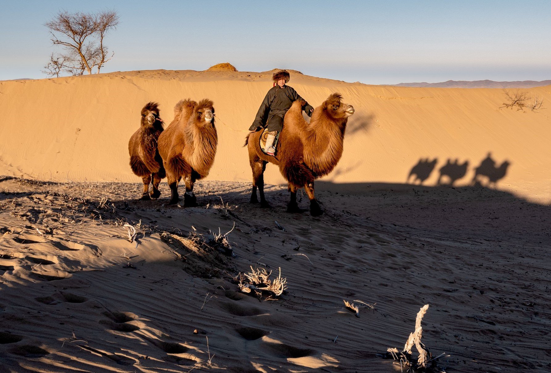 Disvover Erdenenzuu and South Gobi tour ( 8 days)