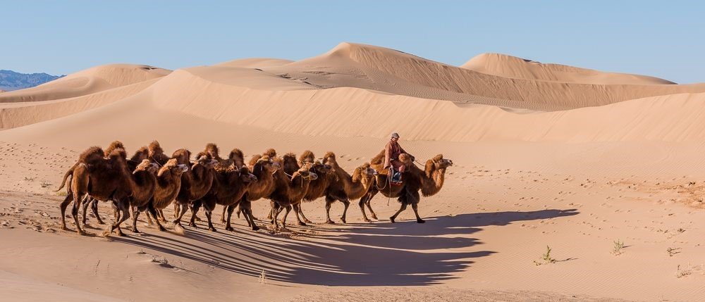 Best tour of Gobi desert and Central Mongolia (14 Days)