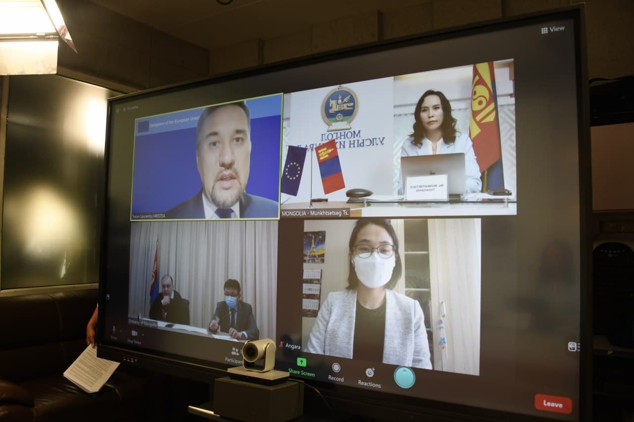 УИХ-ын гишүүн Ц.Мөнхцэцэг Европын парламентын Төв Азий, Монгол Улстай харилцах бүлгийн даргатай цахим уулзалт хийлээ