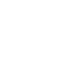 <div class='counter counter-lined'><span data-from='20' data-to='10' data-refresh-interval='50' data-speed='1200'></span>+</div>