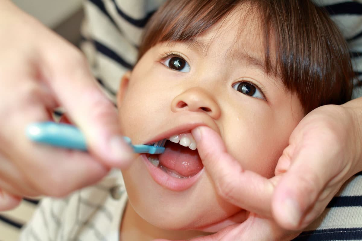 1 ой 6 сартайгаас эхлэн хүүхдийн шүдийг угааж өгөхдөө анхаарах зүйл