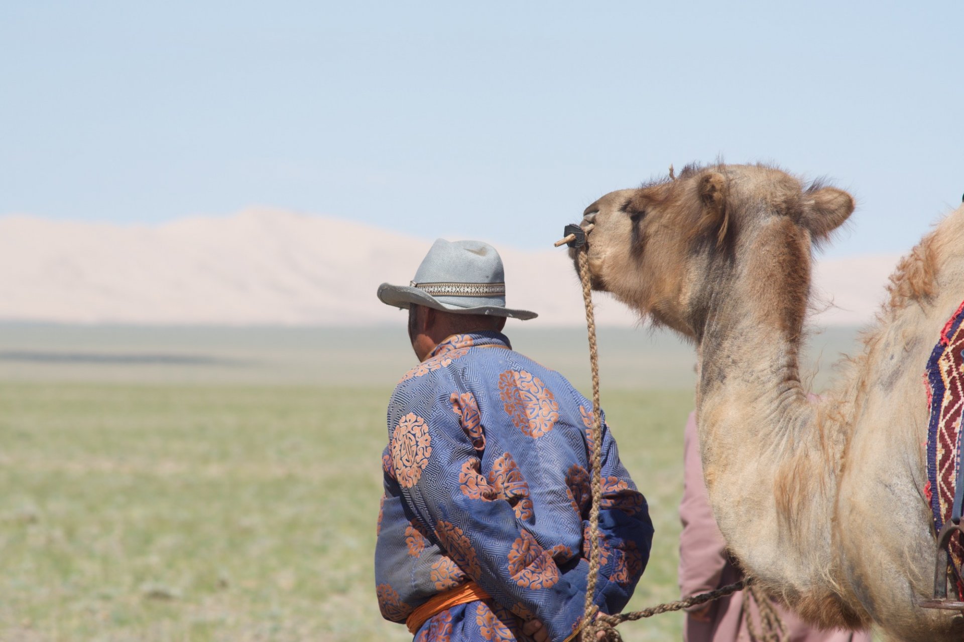 THE CAMELS AND THE HERDERS