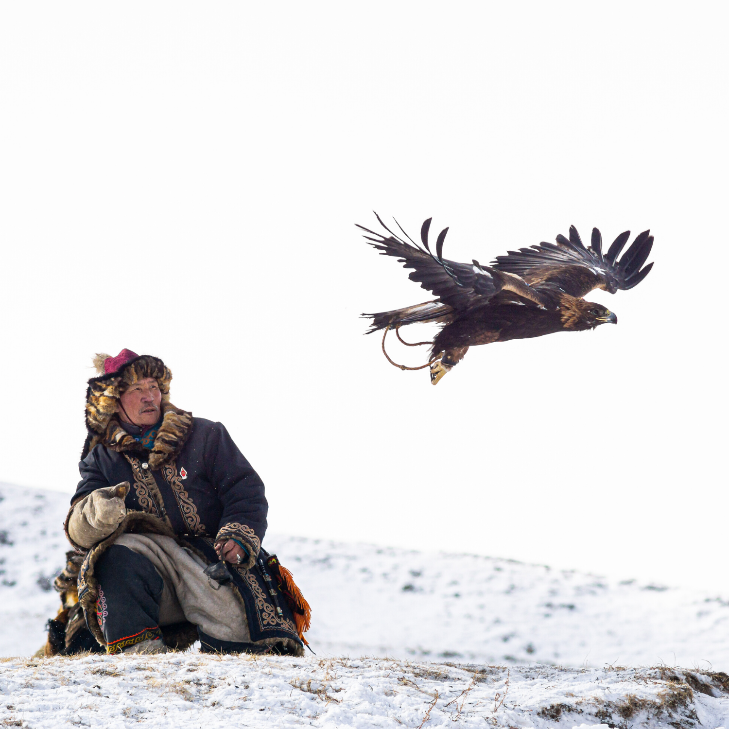 PHOTOGRAPHY & VIDEOGRAPHY IN MONGOLIA