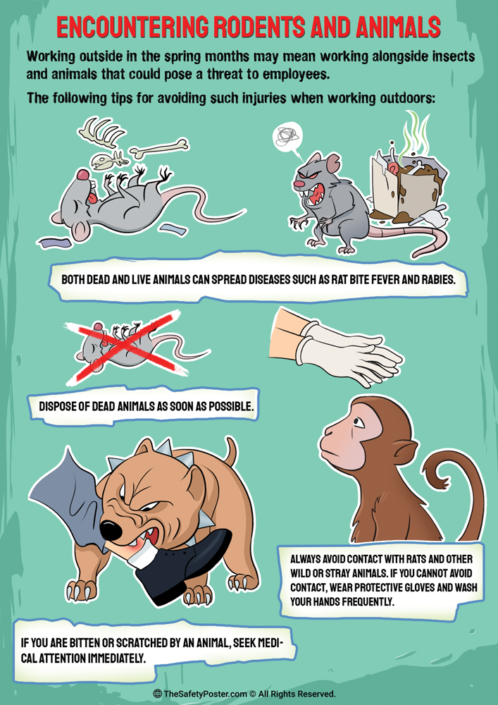 Encountering rodents and animals