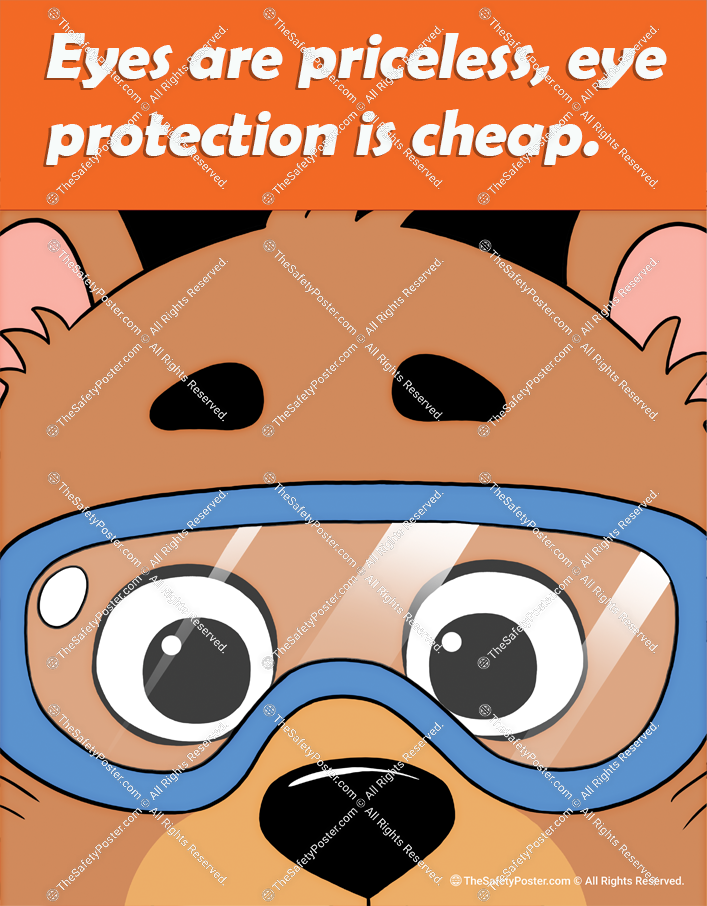 Eyes are priceless, eye protection is cheap