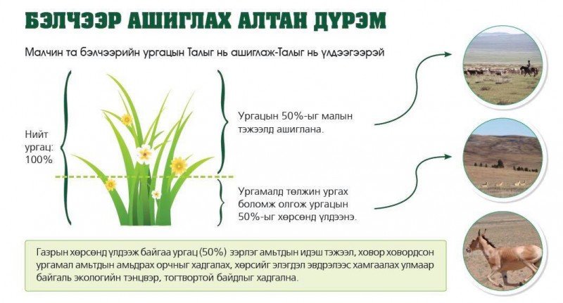 Хэт ашиглалт – бэлчээрээ цөл болгох доройтлын цэгт бид хэр ойр ирээд байна вэ?